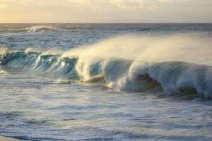 High Seas Treaty: Two-thirds of the world's oceans protected for the first time